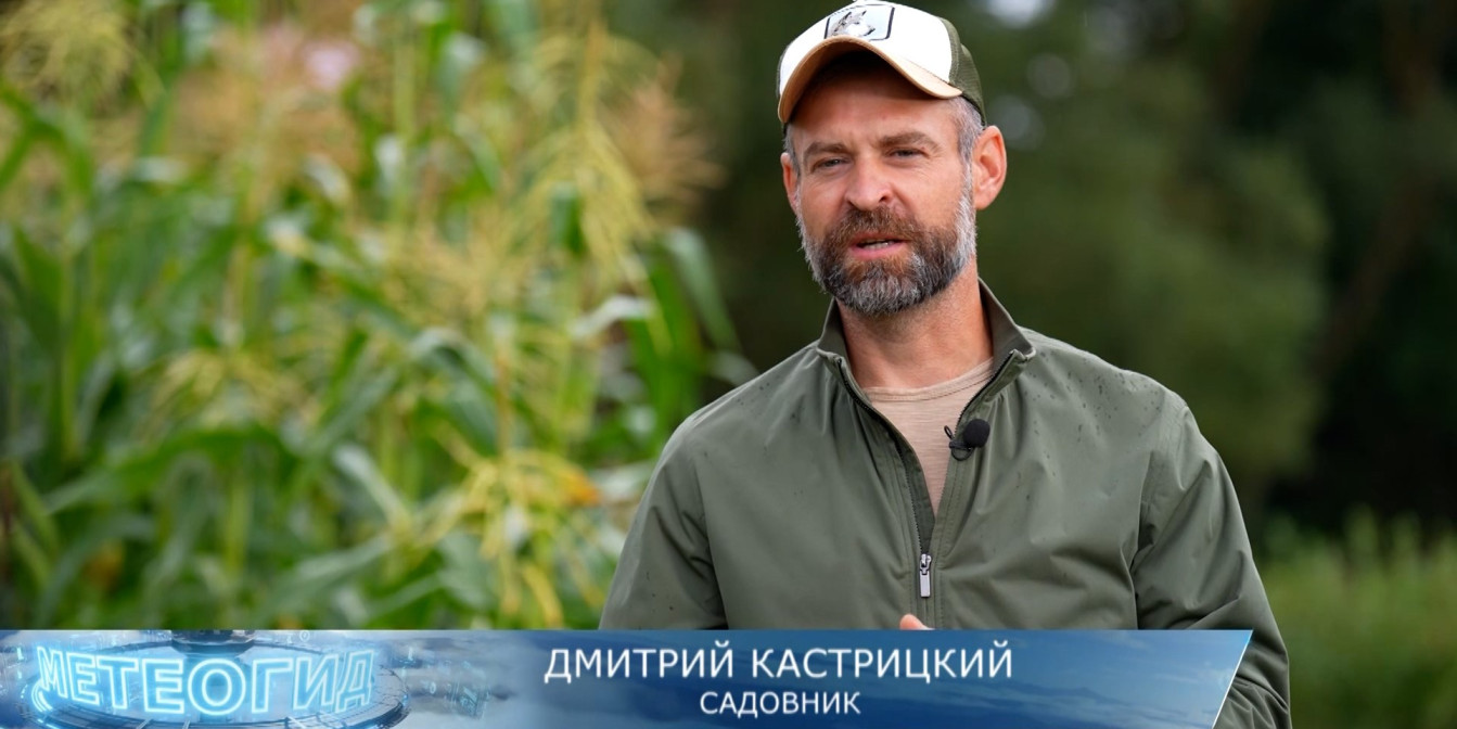 Горячий компост: как с пользой для огорода утилизировать сорняки и гнилые яблоки