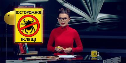 В Беларуси клещей не уничтожают полностью: почему точечная обработка эффективнее тотальной