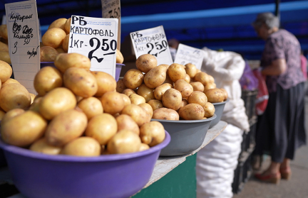 Картофельный дефицит в Беларуси: как бульба исчезла и снова появилась – в сюжете ОНТ