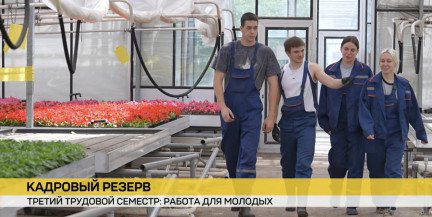 Работа на производстве, строительство Национального исторического музея и парка Народного единства. Как и над чем трудятся студотряды