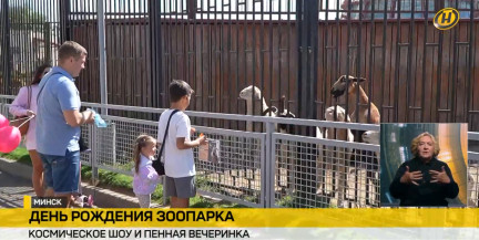 Пенное шоу, космос и новые альпаки: Минский зоопарк масштабно отметил 42-летие