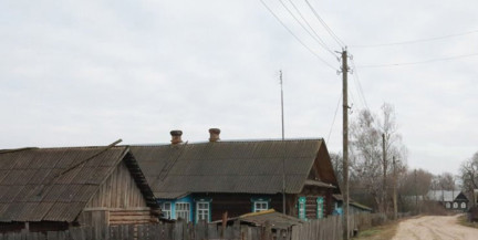 В Гомельской области реабилитируют земли после ЧАЭС: в оборот ввели 19,4 тыс. га