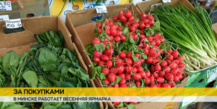 От саженцев до разносолов: весенняя ярмарка у «Чижовка–Арены» встречает покупателей