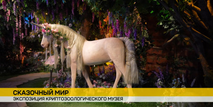 Дракула, единорог и демогоргон: первый криптозоологический музей в Минске собирает очереди посетителей