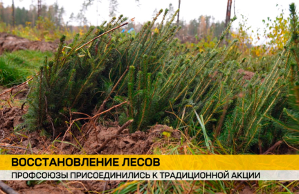 Федерация профсоюзов присоединилась к акции «Дай лесу новае жыццё»