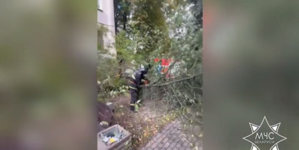 Из‑за непогоды в Минской области пострадали двое детей: спасатели ликвидируют последствия по всей Беларуси