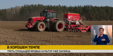 Гродненская область в лидерах: в Беларуси засеяли треть площадей яровых культур