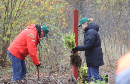 Сотрудники ЦИК во главе c Игорем Карпенко приняли участие в акции «Дай лесу новае жыццё!»