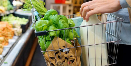 Где в Минске купить 6-месячный пармезан и почему наше сливочное масло и детские смеси так востребованы?