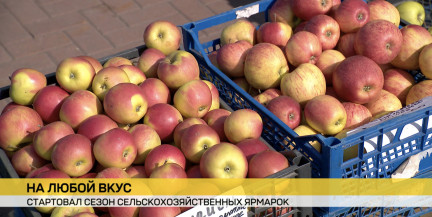 В Минске стартовал сезон сельхозярмарок: первая площадка у «Чижовка-Арены»