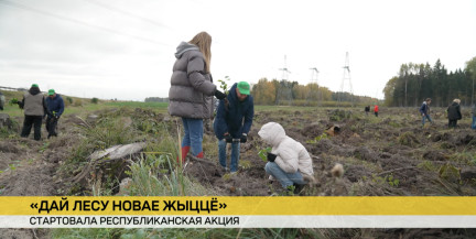 Вклад в будущее богатство. Сотрудники телеканала ОНТ приняли участие в акции «Дай лесу новае жыццё»