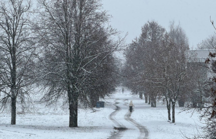 «Парк кино» появится в Минске – узнали, где именно