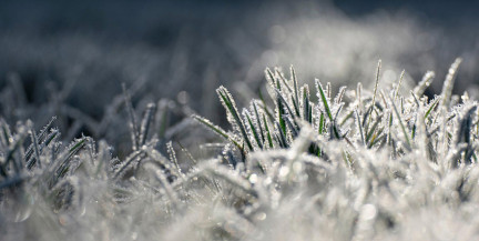 В Беларуси 27 апреля объявлен оранжевый уровень опасности из-за сильного ветра и заморозков