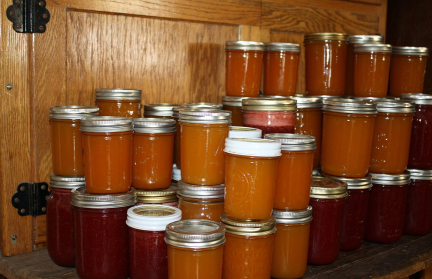 Белорусам напомнили об опасности ботулизма и как его избежать