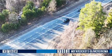 Откуда белорусам приходят внезапные «письма счастья»: в Могилевской ГАИ раскрыли секрет