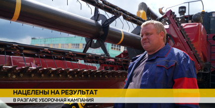 Как проходит уборочная кампания в Беларуси в условиях дождей – в репортаже ОНТ