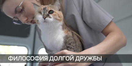 В Беларуси работает центр долголетия домашних питомцев – что это за клиника?