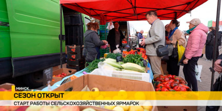 В Минске начинают работать сезонные ярмарки выходного дня
