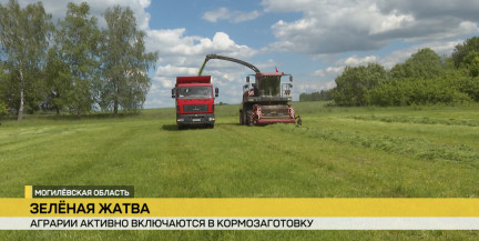В Беларуси идет активная заготовка кормов