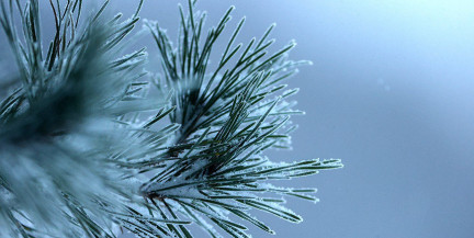 Оттепель сменится морозами. Погода на 13-15 февраля