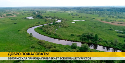 Бум экотуризма: Минприроды заявило о двукратном росте числа иностранных туристов в заповедниках Беларуси