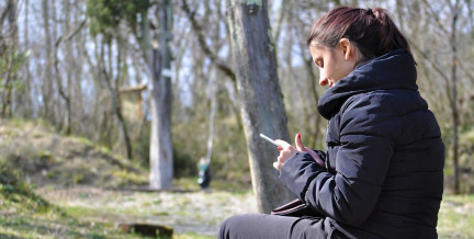 Какие письма о штрафах нельзя даже открывать, рассказали в МВД