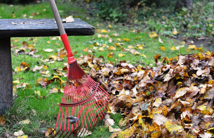 Как распределят заработанные на субботнике средства: разъяснение Мингорисполкома