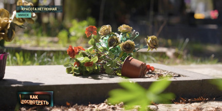 Память или токсичный мусор? Так ли безопасны искусственные цветы, которые мы оставляем на могилах