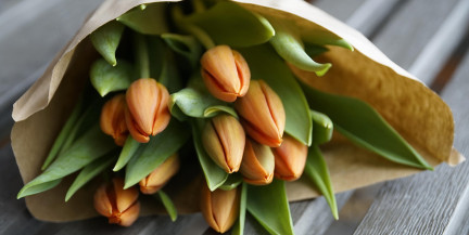 Букет без риска: какие цветы лучше не дарить на 8 Марта