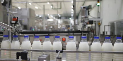 Минсельхозпрод обновил минимальные цены на мясо и молоко