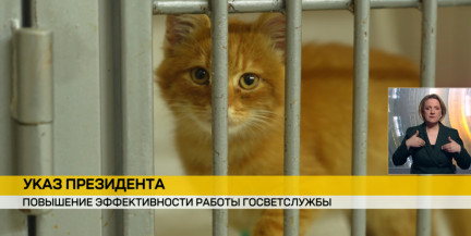 Ужесточен контроль над ветеринарной службой: введена персональная ответственность и приостановка сертификации за нарушения