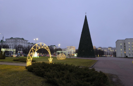 Выше девятиэтажки: что известно о главной новогодней елке Могилева