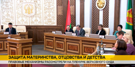 Верховный суд обсудил защиту материнства, отцовства и детства: каждое 10 дело – по алиментам или установлению отцовства