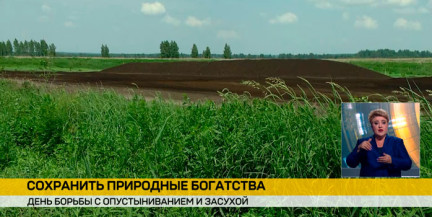 День борьбы с засухой: что делают в Беларуси, чтобы защитить земли