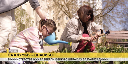 Цветы без штрафов: в Министерстве ЖКХ опровергли фейки о запрете палисадников у дома