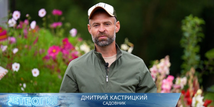 Чем подкормить голубику в конце августа, чтобы в следующем году собирать ягоды ведрами? Советы Дмитрия Кастрицкого