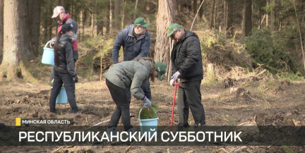Сотрудники КГК и глава Минлесхоза трудились в Колодищах в рамках субботника