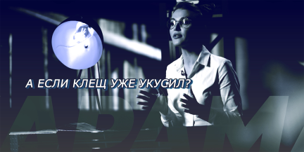 Укусил клещ: как безопасно его извлечь и почему нельзя заливать маслом