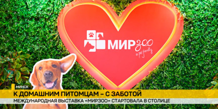 Международная выставка зоотоваров и услуг «МирЗоо» открылась в Минске