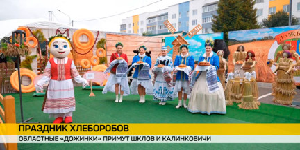 Областные «Дожинки» в этом году принимают сразу два города – Шклов и Калинковичи