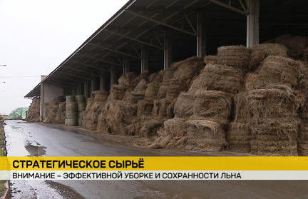 Прокуратура выявила нарушения в хранении льнотресты в Слуцком районе. Репортаж ОНТ