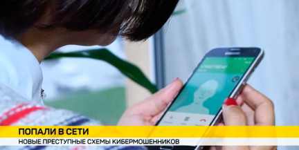 7,5 тыс. жертв, ущерб на 16 млн рублей: как не попасть на крючок мошенников и что делает государство для защиты граждан