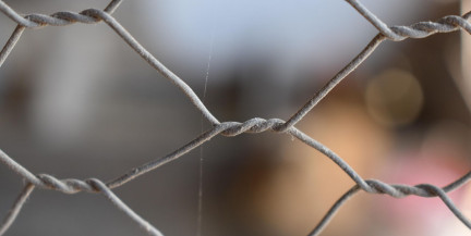 23 заключенных сбежали из мексиканской тюрьмы во время беспорядков