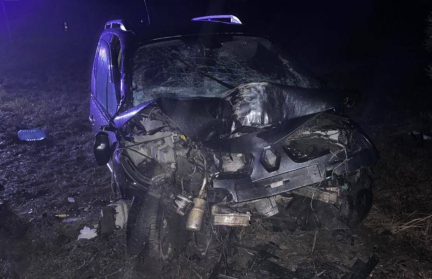 Под Слуцком Renault вылетел с дороги и врезался в дерево – погибла пассажирка