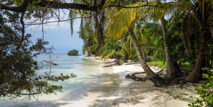 Daily Mail: Мужчина до смерти напился из-за гибели супруги на Мальдивах