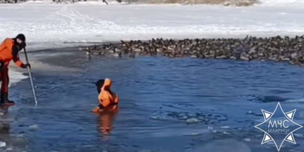 Спасатели МЧС проводят операции по спасению уток и лебедей в сильные морозы
