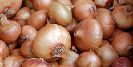 Мошенник продавал людям лук вместо iPhone: дело передано в суд