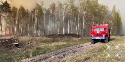 Лесной пожар тушат в Пинском районе