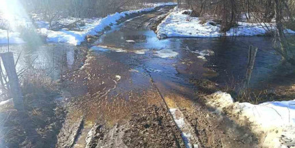 Паводок подтопил автомобильный мост в Лиозненском районе