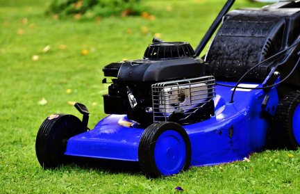 Коммунальщик в Германии нашел десять золотых слитков во время покоса травы